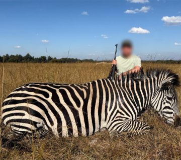IMG 20260610 WA0017 360x320
