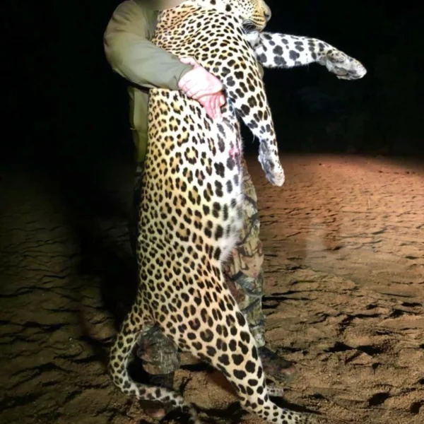 Mozambik2 600x600
