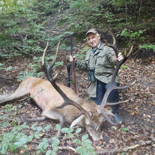 Polska1 600x600
