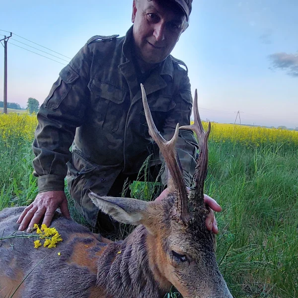 Polska2 600x600