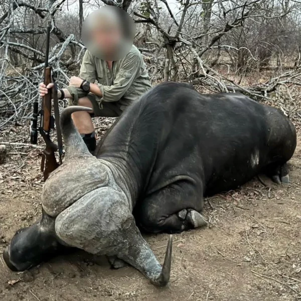Zambia1 600x600