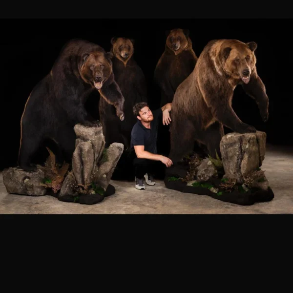 Taxidermy14 600x600