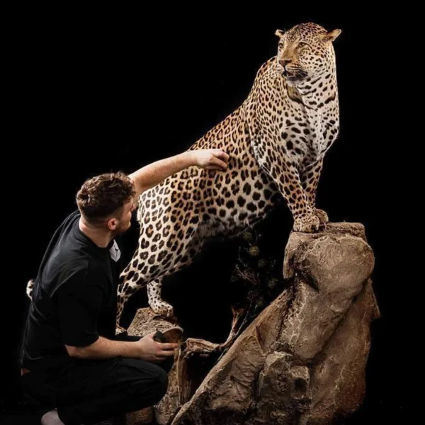 Taxidermy4 600x600